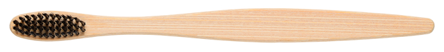 tandbørste